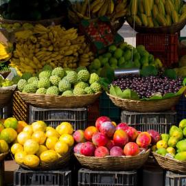 fruits-market-colors-large